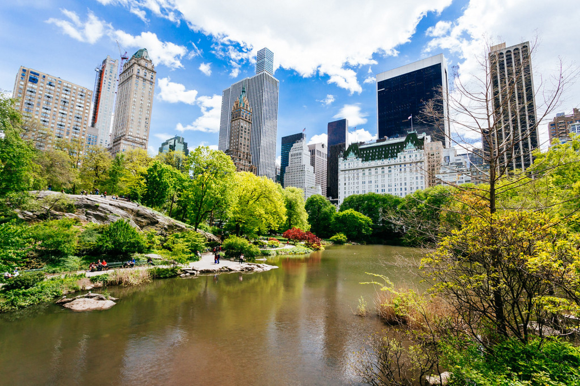 NEW YORK THANKSGIVING E BLACK FRIDAY