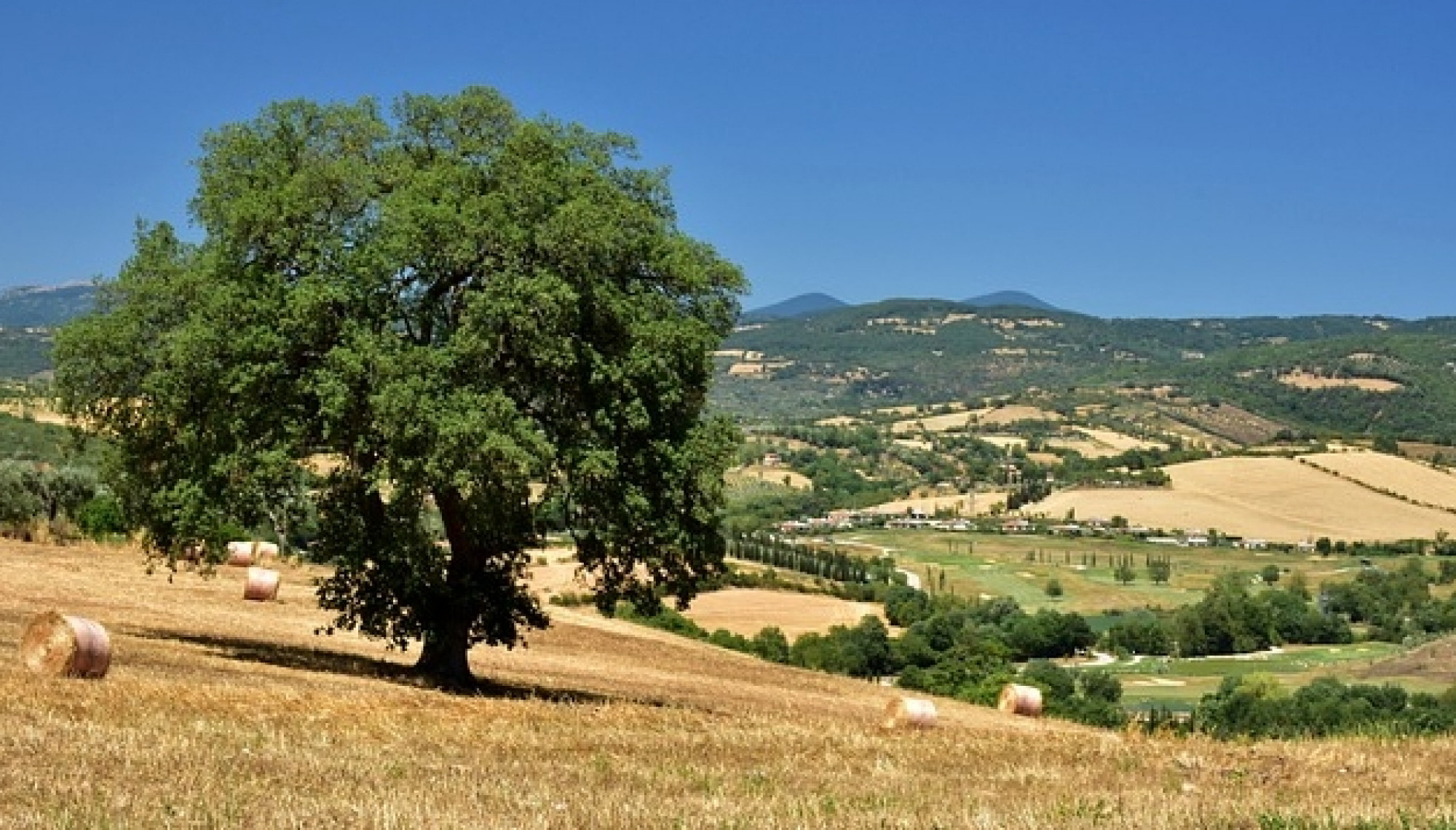 MAREMMA E ISOLA DEL GIGLIO (TOSCANA)