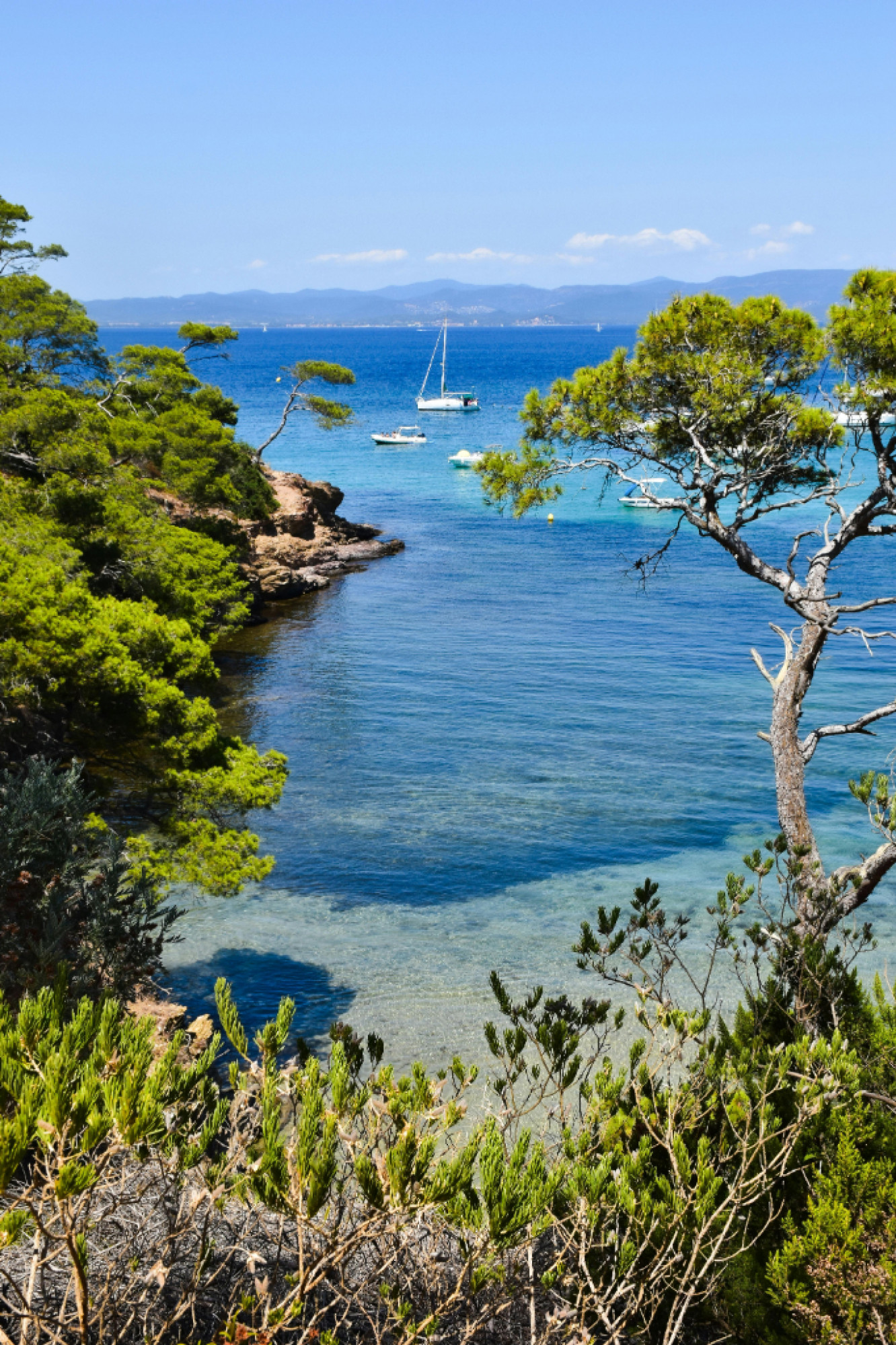 ISOLE PORQUEROLLES: I CARAIBI DELLA PROVENZA