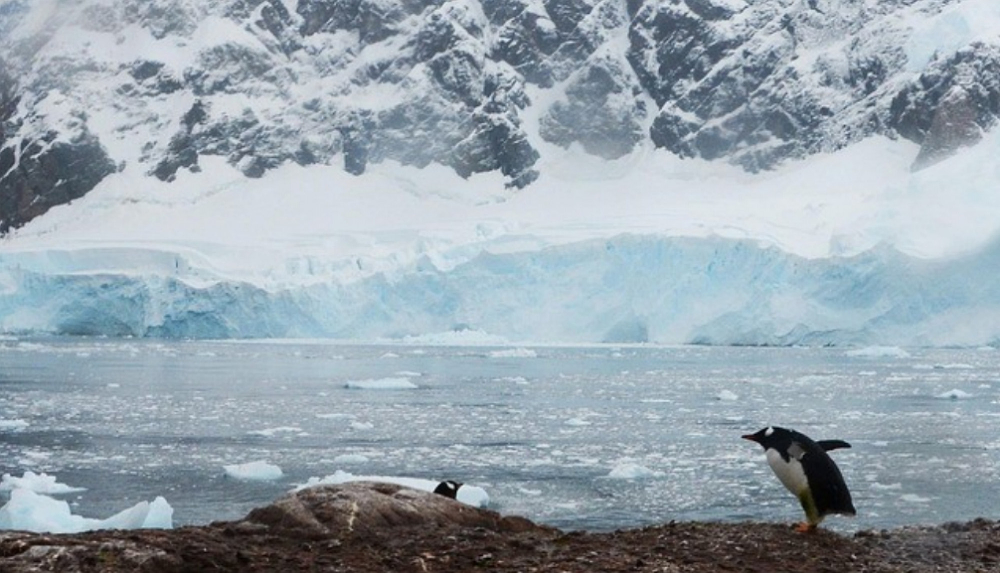 TOUR ARGENTINA  E PATAGONIA (SUD AMERICA)