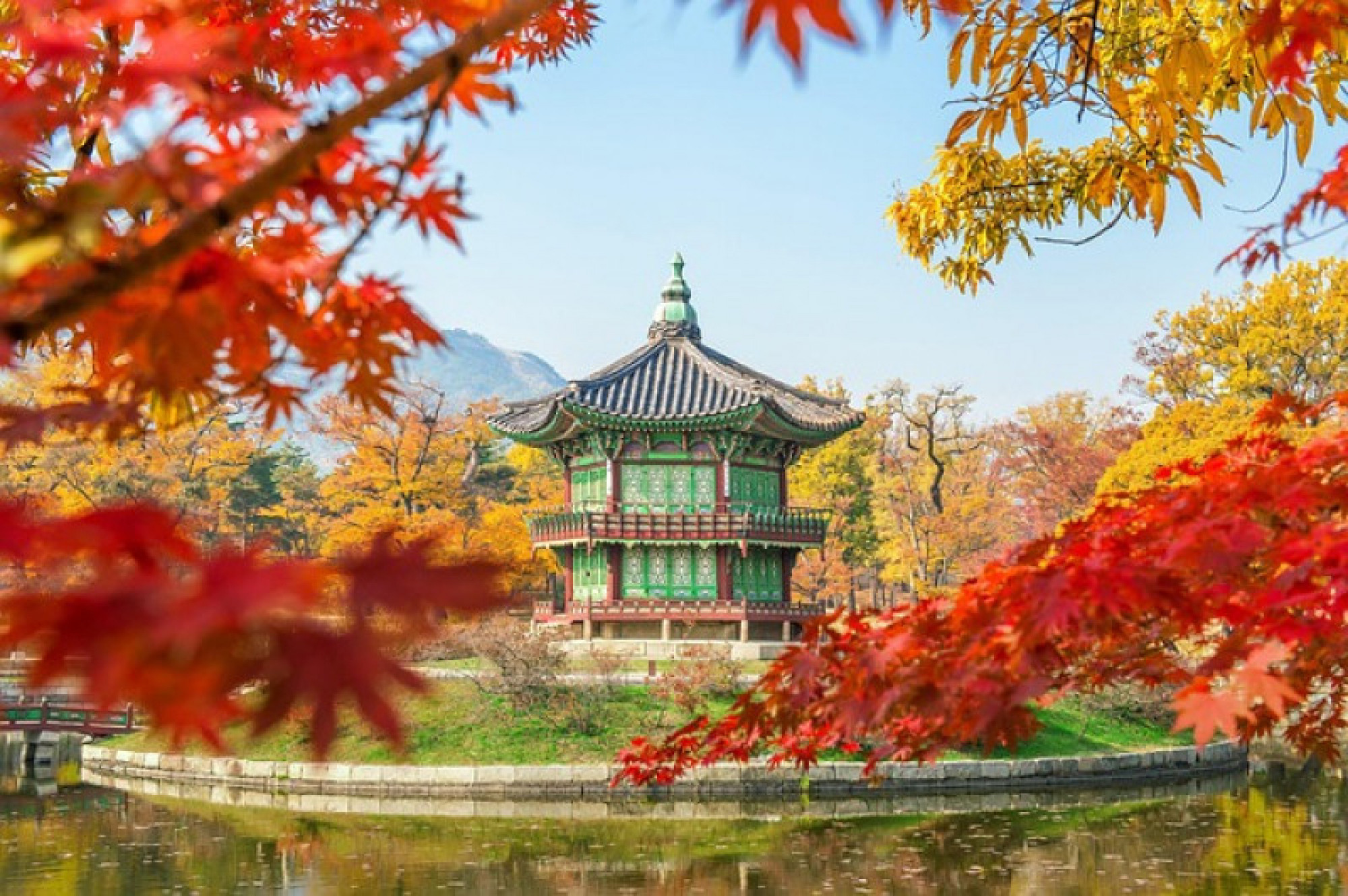 TOUR COREA DEL SUD