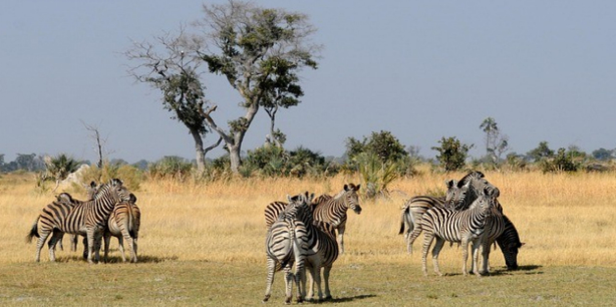 BOTSWANA E ZIMBABWE ADVENTURE