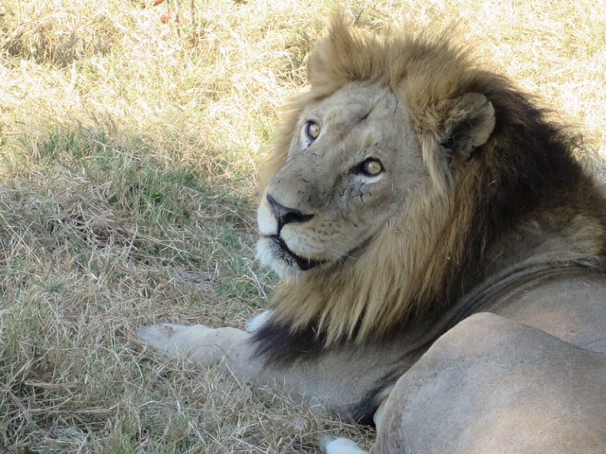 SPLENDIDA NAMIBIA