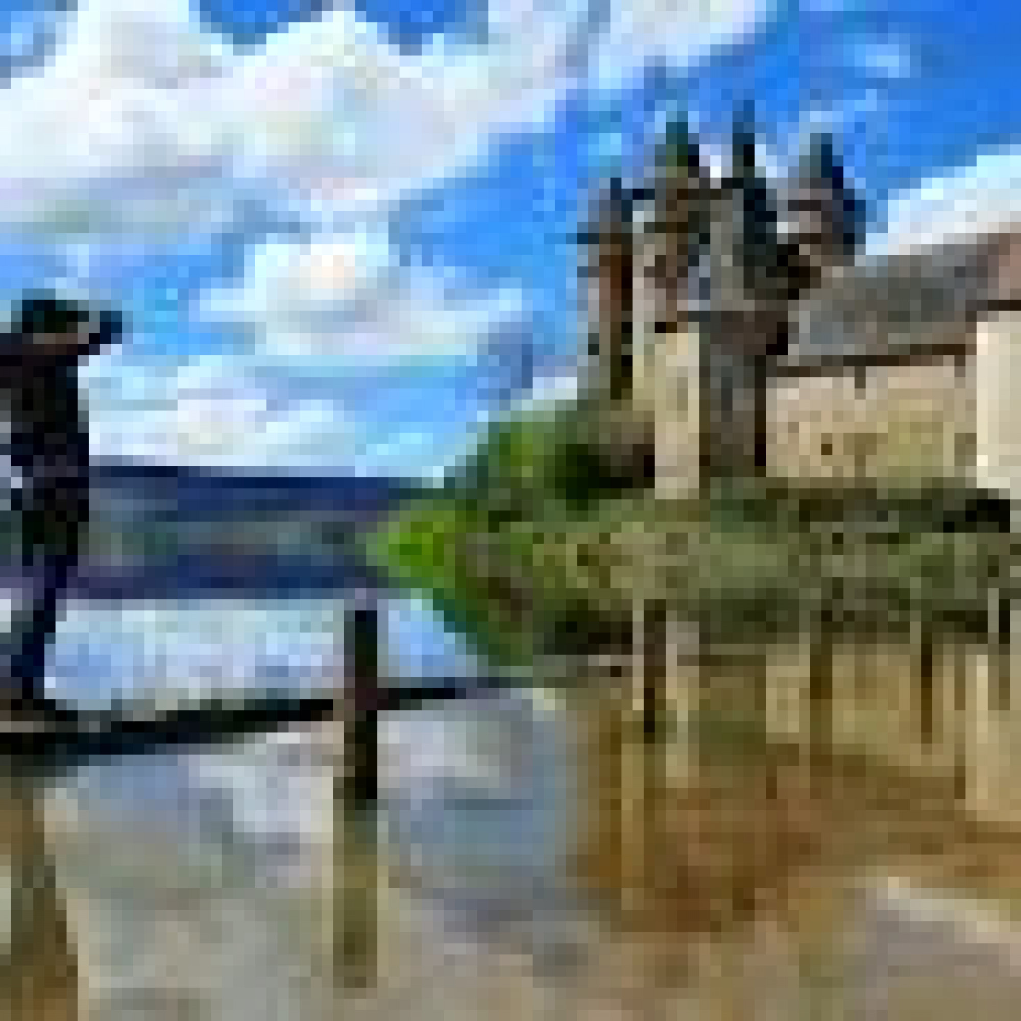 ALVERNIA - CUORE SELVAGGIO DI FRANCIA