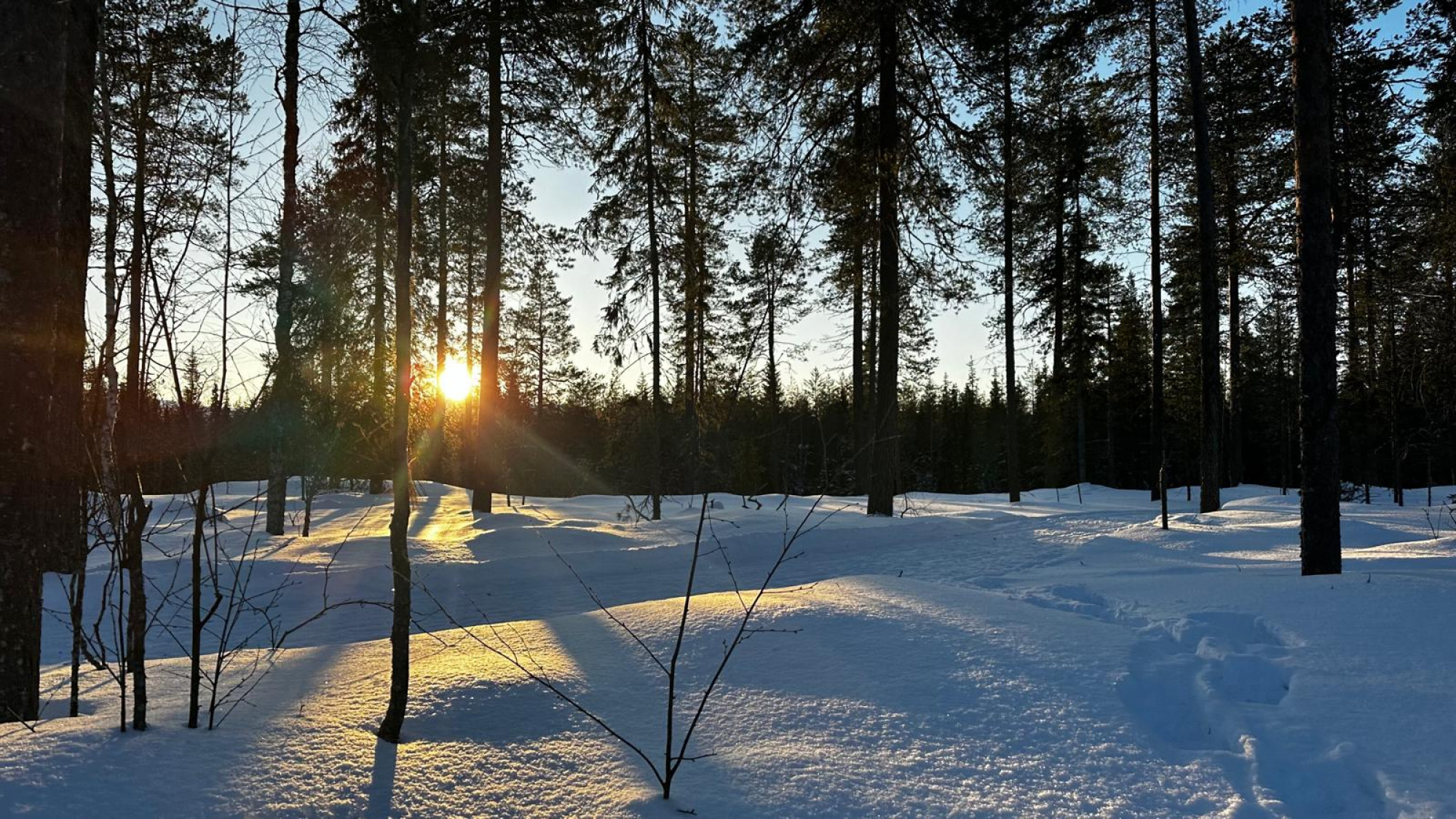 LUCI DEL NORD NELLA LAPPONIA FINLANDESE
