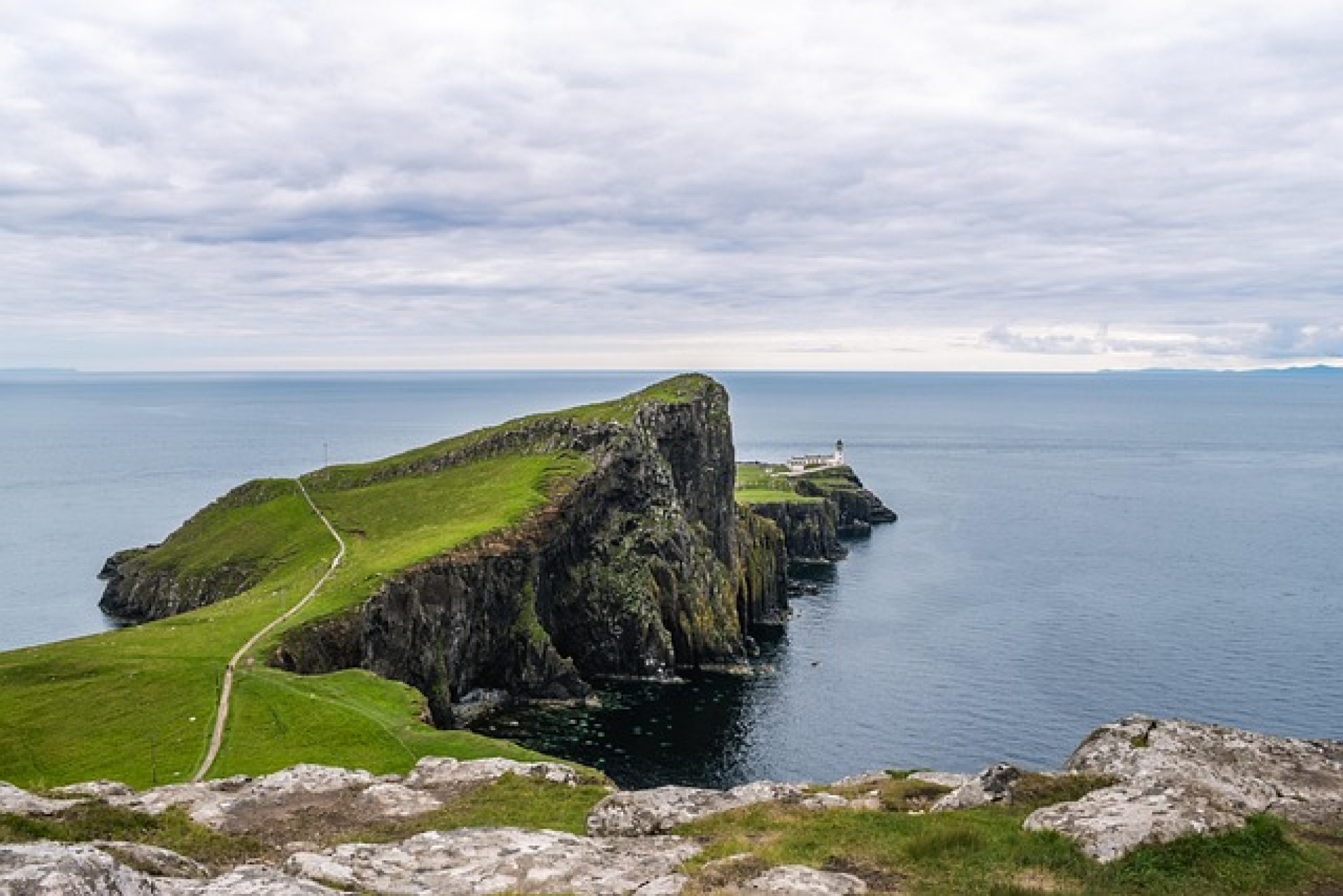 SCOZIA EXPRESS