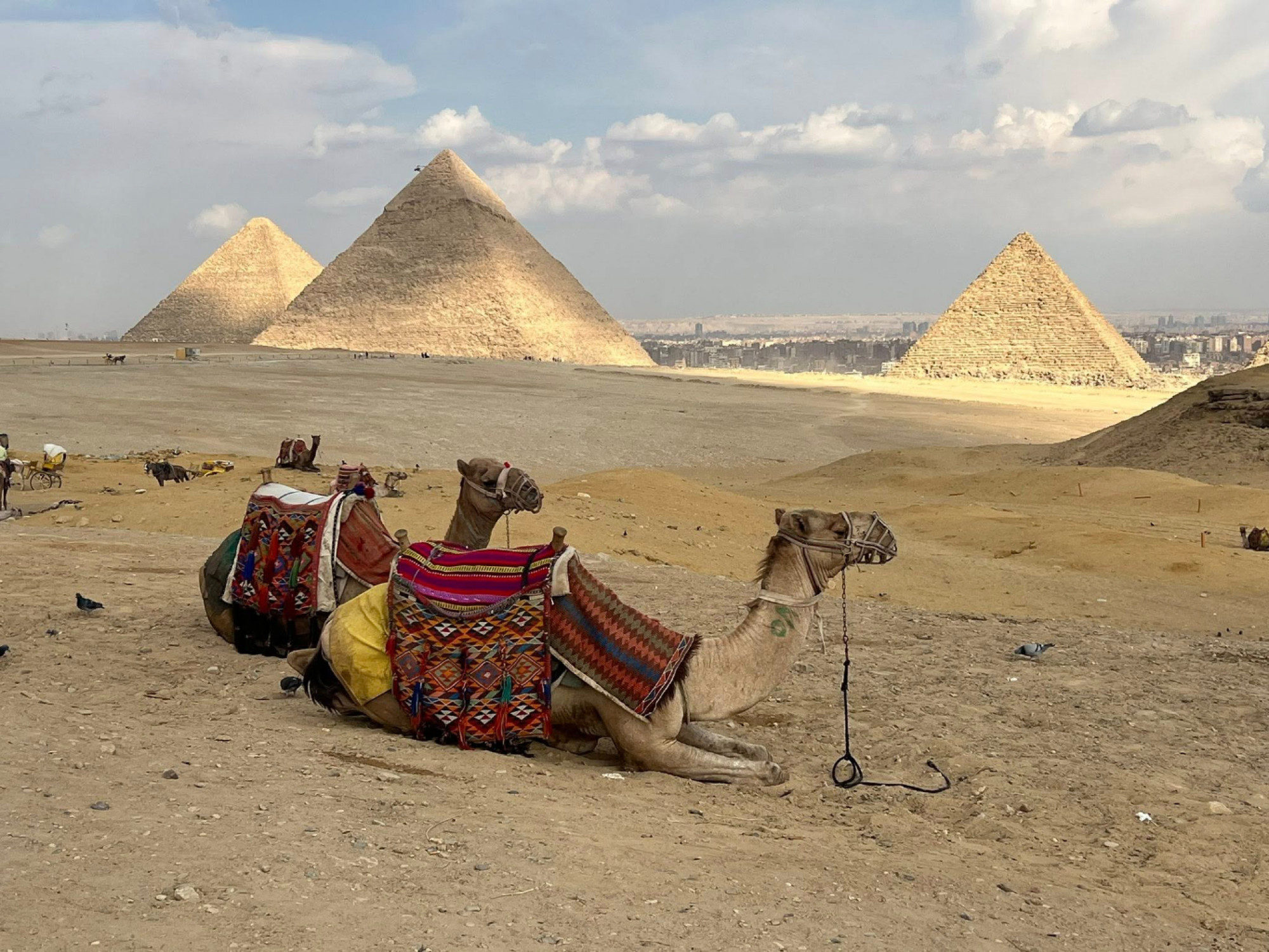 CROCIERA SUL NILO E CAIRO (EGITTO)